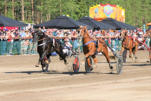 image (3)